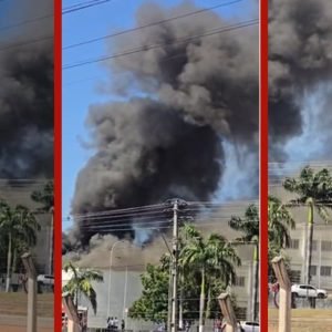 MT: incêndio atinge biblioteca e almoxarifado de IFMT em Alta Floresta