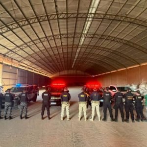 Carga adulterada e grãos furtados: operação mira esquema com possível elo com facção em MT