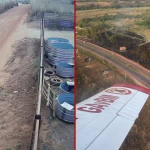 Câmeras de segurança mostram suspeito provocando incêndio na MT-251