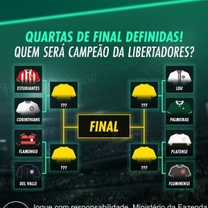O caminho até a final está aí!  

Quem vai ser o campeão da Libertadores? 

Anal…