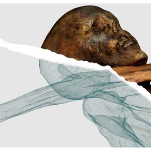 Brasileiro ajuda a criar gêmeo digital de Ötzi, múmia de 5,3 mil anos