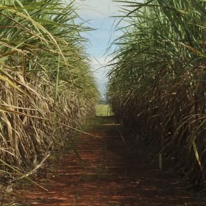 Conselho eleva limite de remuneração do Eco Invest Brasil