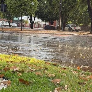 Depois de calorão de 36°C, chuva cai em pontos de Nova Mutum/MT e surpreende moradores; Veja vídeo | Power Mix