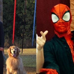 Taylor Swift e super-heróis: padre usa cultura pop em homilias em MT