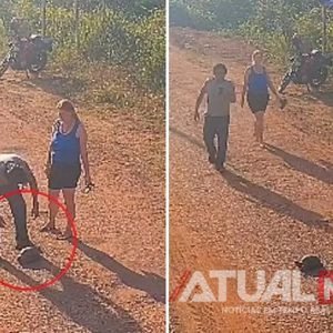 Câmera flagra casal furtando jabuti em área de preservação em MT; Veja vídeo