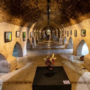 Museu em Cuiabá recebe exposição “Pantanal em Mim” neste sábado (8)