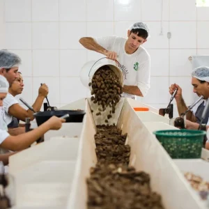 Consulta sobre produtos sustentáveis termina quarta-feira (2)