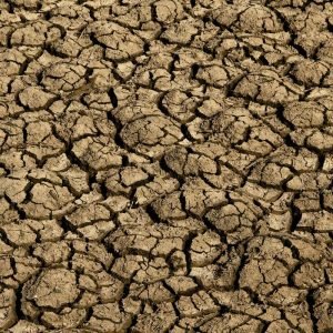 Risco de desertificação no Brasil ameaça segurança hídrica e alimentar