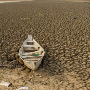 Brasil promete restaurar 163 mil km² de terras degradadas até 2030 
