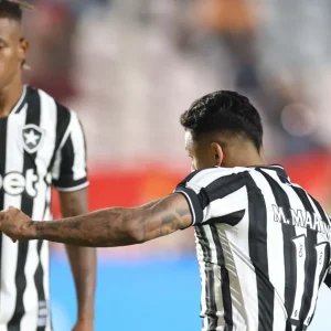 Botafogo busca reconstrução no Brasileirão após sofrer goleada histórica