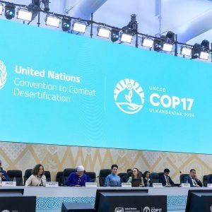 Afetada por disputas geopolíticas, COP17 termina com poucos avanços