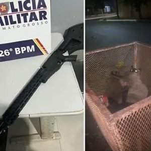 Homem que atirou em gatos com airsoft ganha liberdade sem fiança em Nova Mutum | Nortão Online
