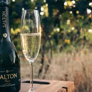 Salton: Espumante é vocação e sustenta resultados positivos