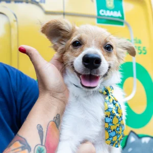 Cuiabá ganha banco de ração e educação animal nas escolas