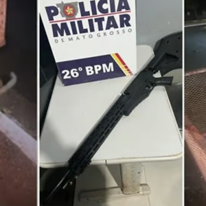 Homem é preso suspeito de atirar em gatos com arma de airsoft em Nova Mutum