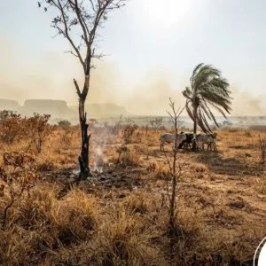 Inmet emite alerta laranja para umidade crítica em 95 cidades de Mato Grosso; extremo norte tem previsão de chuva