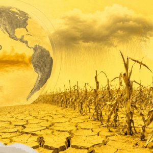 Estoques recordes e tecnologia amortecem impacto do El Niño