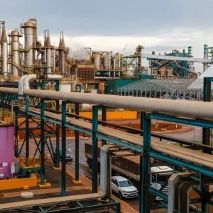 CerradinhoBio amplia moagem e investimentos, mas lucro e receita recuam