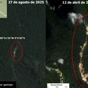 Garimpo ilegal “devora” bacia do Juruena e avança 1.000% em áreas protegidas de Mato Grosso