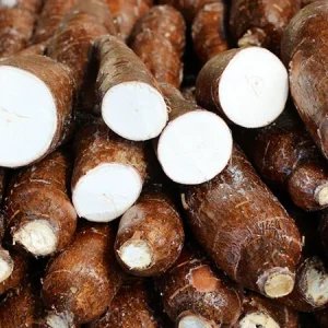 Mandioca ganha força com oferta menor que a demanda industrial