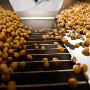 Margem de esmagamento da soja recua 17% em Mato Grosso
