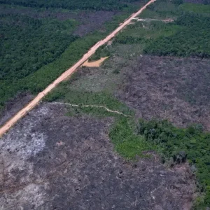 Desmatamento na Amazônia cai ao menor nível desde 2016