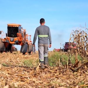 O único estado brasileiro onde homens são maioria entre solteiros