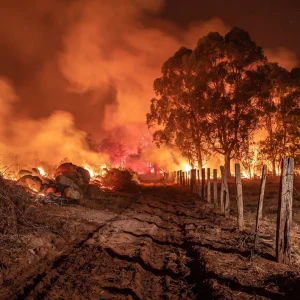O Desafio Climático para o Início da Safra 2026/27 no Interior de Mato Grosso