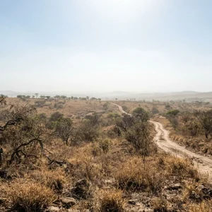 Inmet emite alerta vermelho para umidade do ar de até 12% em 119 municípios de Mato Grosso