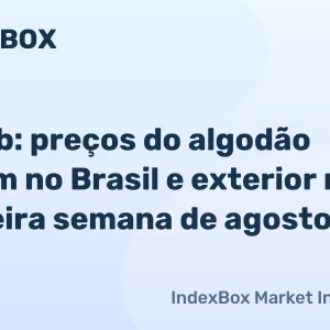 Algodão: preços sobem no Brasil e exterior, mas liquidez doméstica segue restrita – News and Statistics