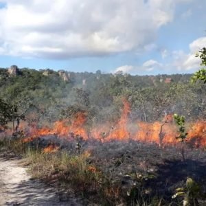 Mato Grosso lidera focos de calor registrados no país em em 2026