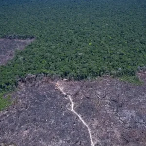 Ministério Público de Mato Grosso destaca tecnologia contra o desmatamento ilegal e faz alerta na Exposul