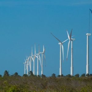 Projeto mapeia caminhos para economia verde no Nordeste