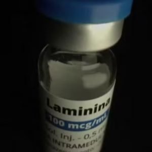Artigo sobre polilaminina é publicado, mas eficácia segue incerta; entenda