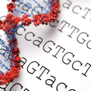 Exoma analisa apenas de 1% a 2% do DNA; genoma completo pode revelar alterações que o primeiro não detecta