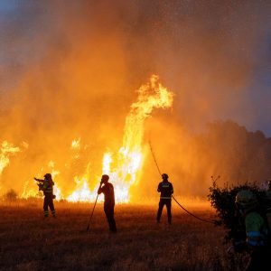 Fumaça de incêndios florestais prejudica saúde a longo prazo