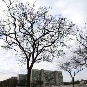 Grande parte do país tem temperaturas elevadas nesta terça-feira
