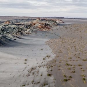 Fungos podem restaurar terras degradadas e combater crise climática
