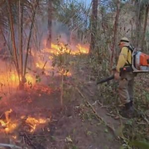 MT registra menor número de focos de calor em julho em 20 anos