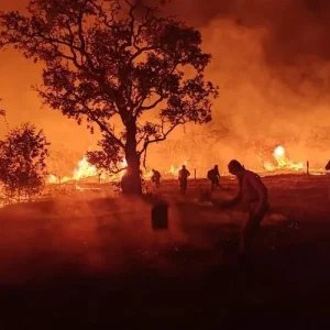 Bombeiros combatem 20 incêndios florestais e mantêm cinco ocorrências sob controle em MT – O Mato Grosso