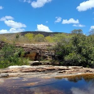 Pantanal: enfrentar mudanças climáticas depende de outros cinco biomas