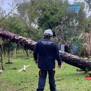 Sul, Sudeste e Centro-Oeste têm alerta para tempestades e vendavais