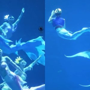 Primeira Copa do Mundo de Sereias reúne mais de 100 participantes na China