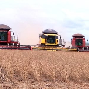 Safra recorde de soja em MT pode encher 1 milhão de caminhões e formar fila que daria 7 voltas no Brasil