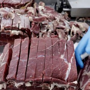 JBS destaca mercado interno e diversificação de vendas no Brasil