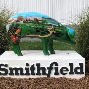 Smithfield lucra US$ 238 mi no 2º tri, com avanço na produção de suínos