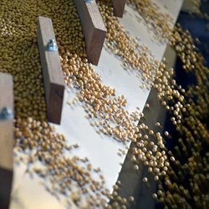 Greve paralisa portos de grãos e trava exportações da Argentina