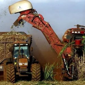 Usinas do Nordeste têm ganhos de até 92,8% na produtividade da cana