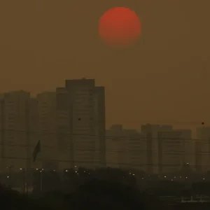 Relatório traz soluções para reduzir emissões de metano