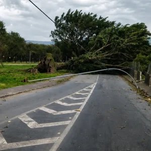 SP: ventania pode atingir 50 km/h no fim de semana